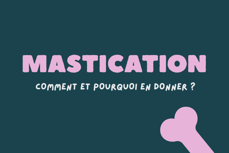 CONSEILS MASTICATION