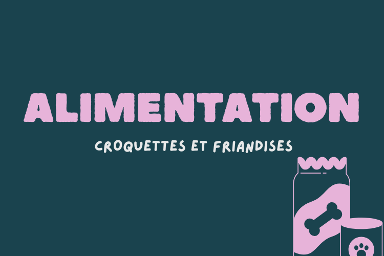 CONSEILS ALIMENTATION