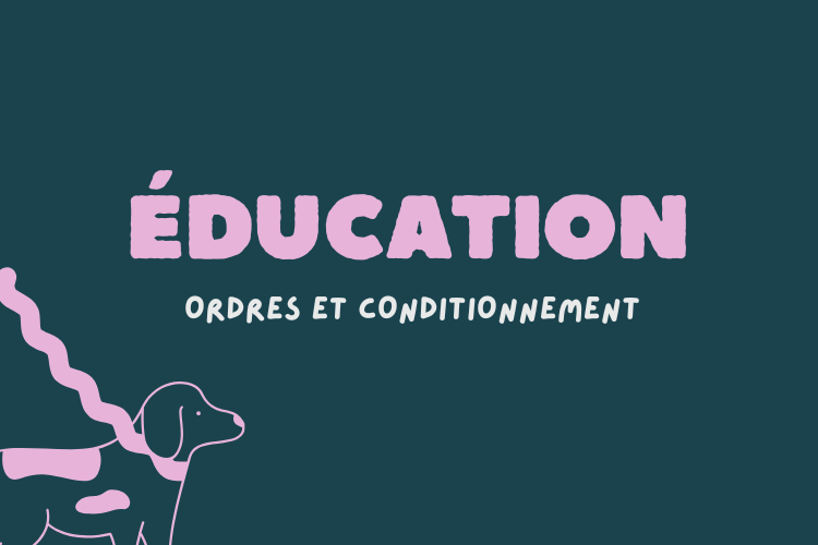 CONSEILS ÉDUCATION