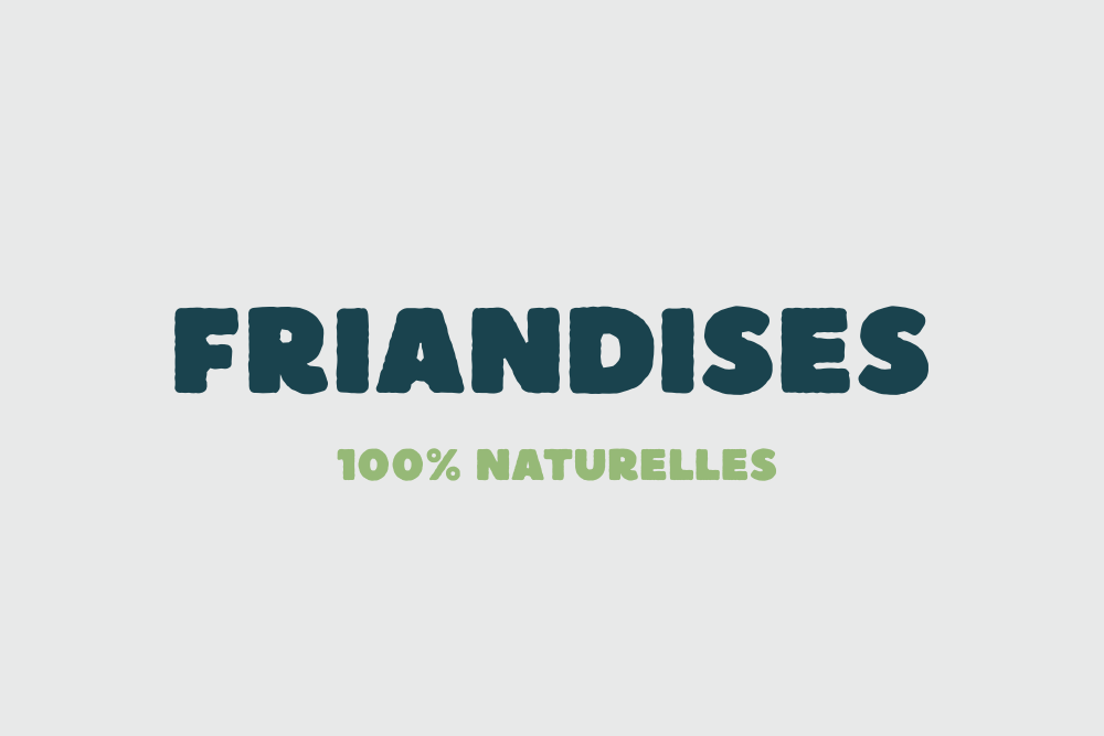 Nos FRIANDISES