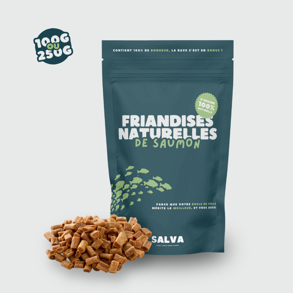 FRIANDISES DE SAUMON