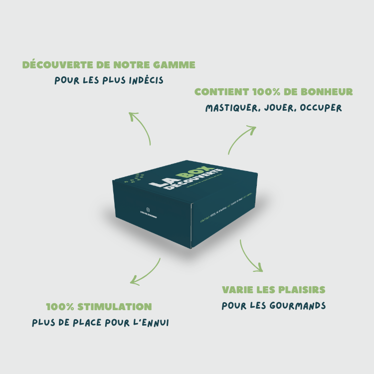 BOX DÉCOUVERTE