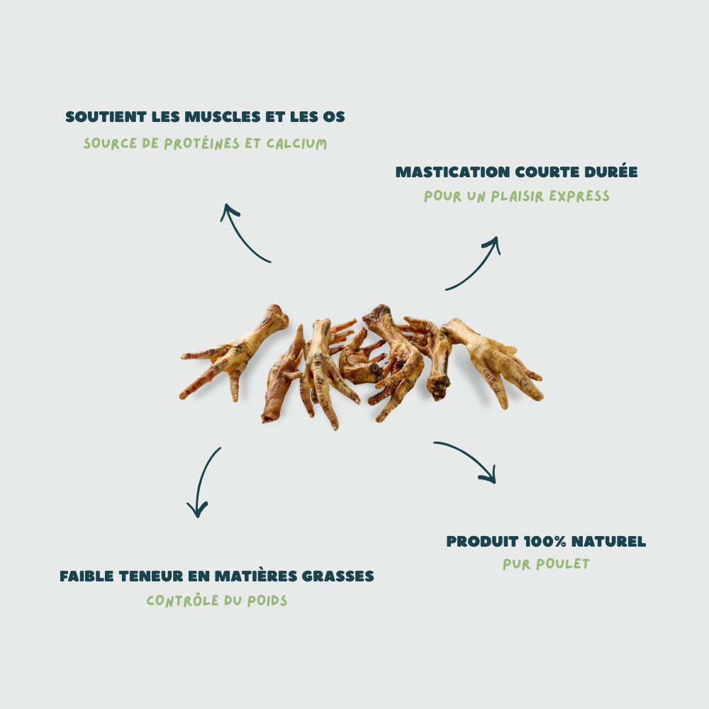 PATTES DE POULET