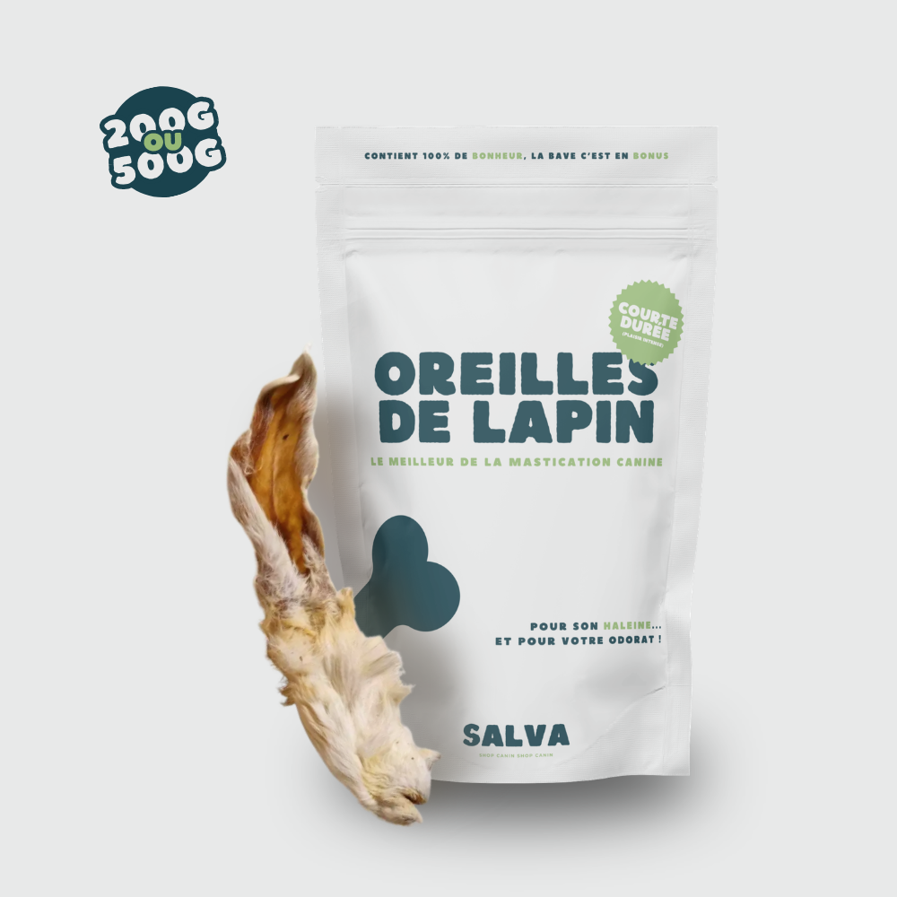 OREILLES DE LAPIN