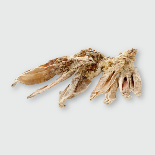 OREILLES DE LAPIN