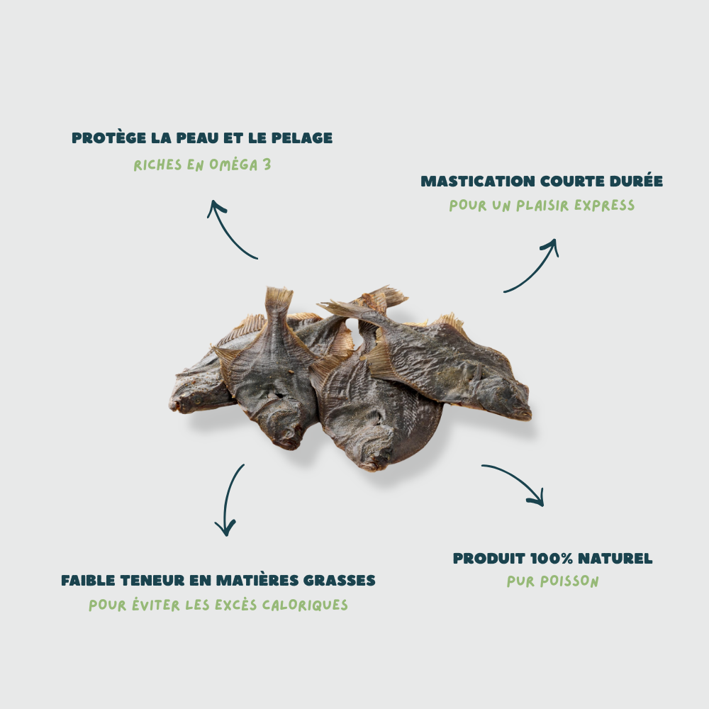 FLETS SÉCHÉS