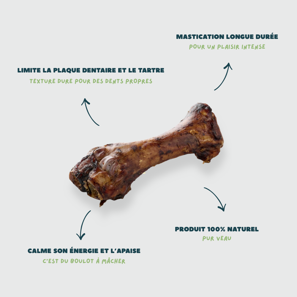 TIBIA DE VEAU