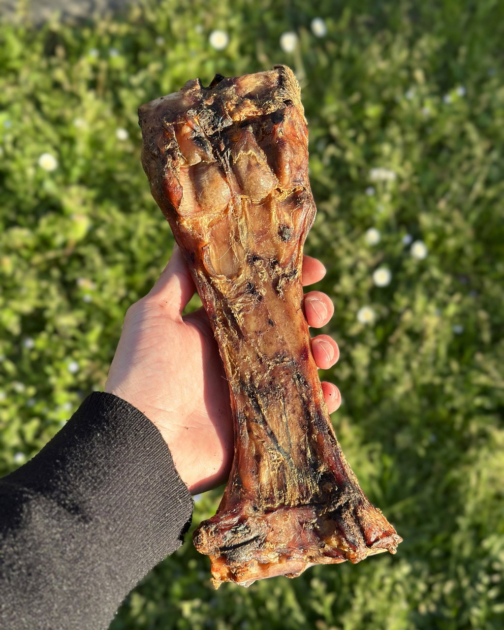 TIBIA DE VEAU