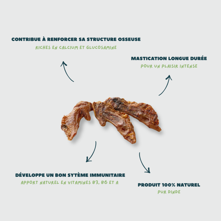 avantage mastication naturelle chien