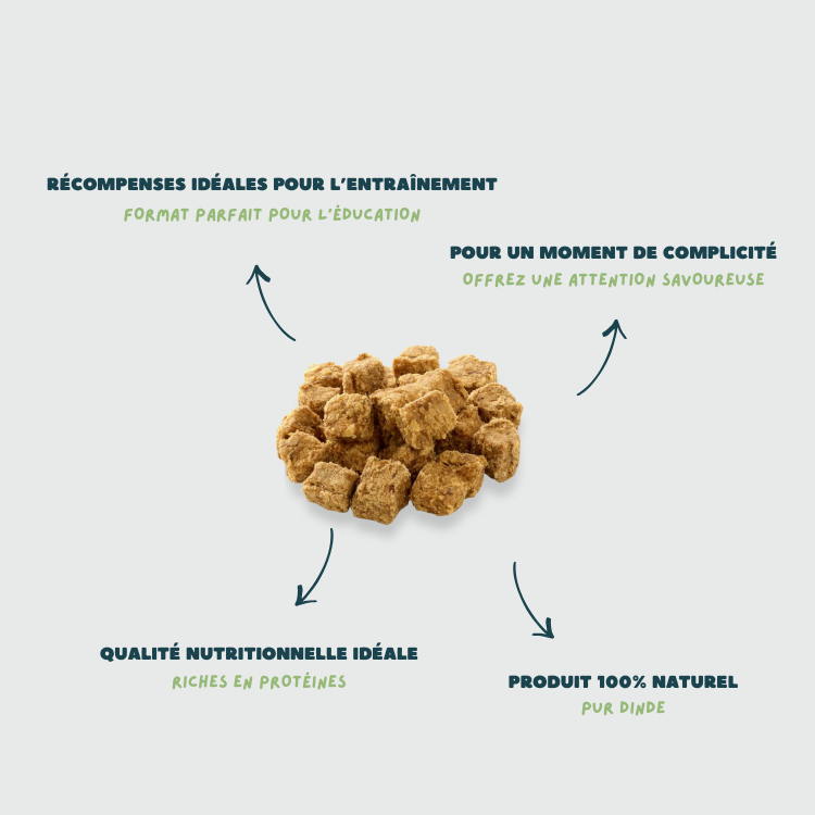 cubes de dinde friandises chien